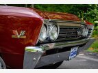 Thumbnail Photo 14 for 1967 Chevrolet Chevelle